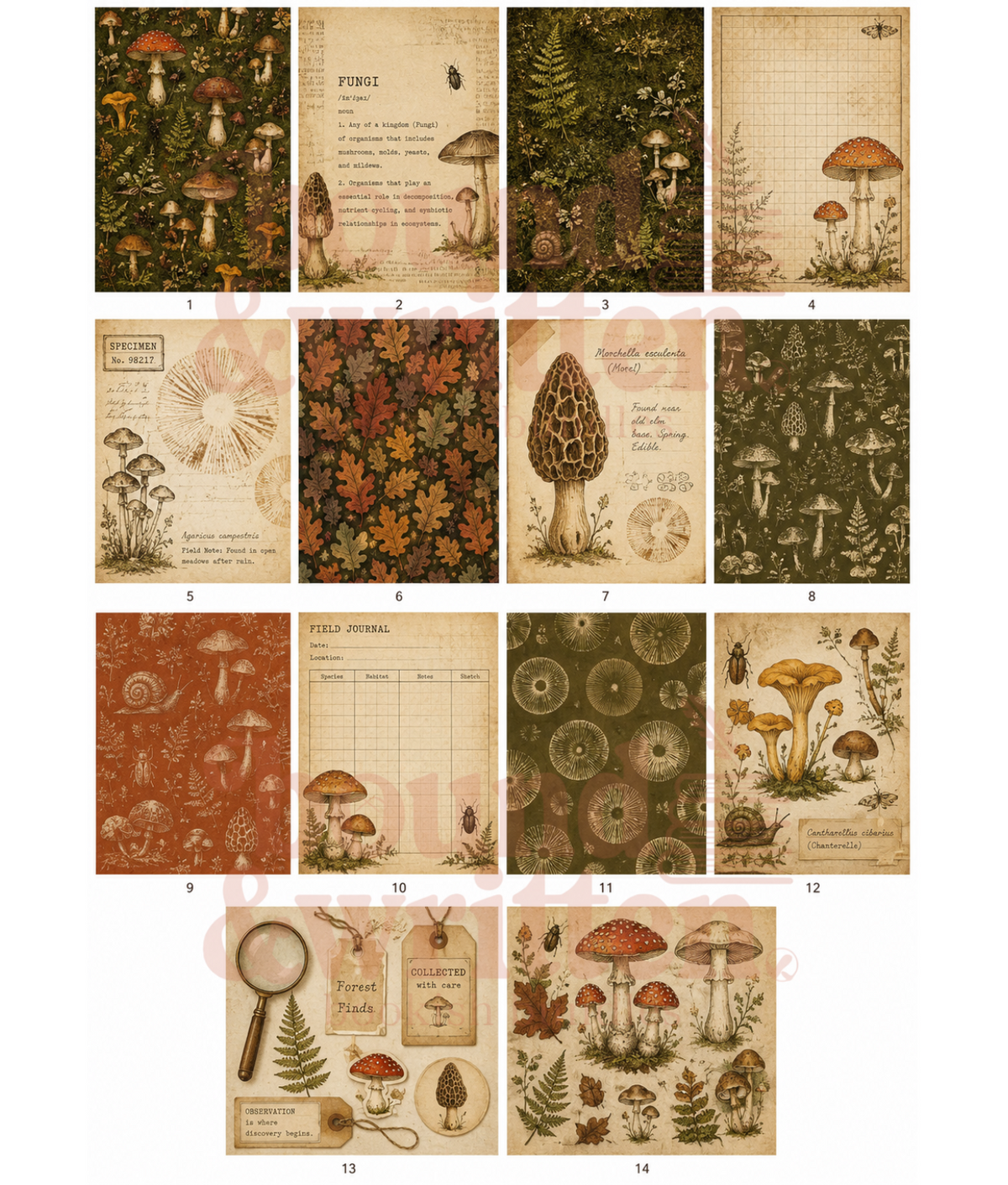 Foraged Fungi Themed Paper Pack