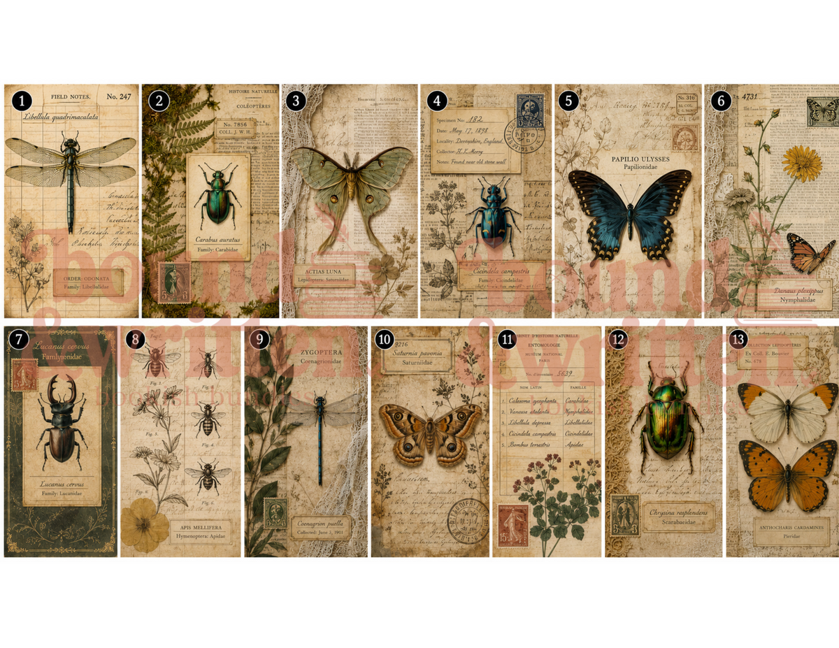 Naturalist Themed Paper Pack